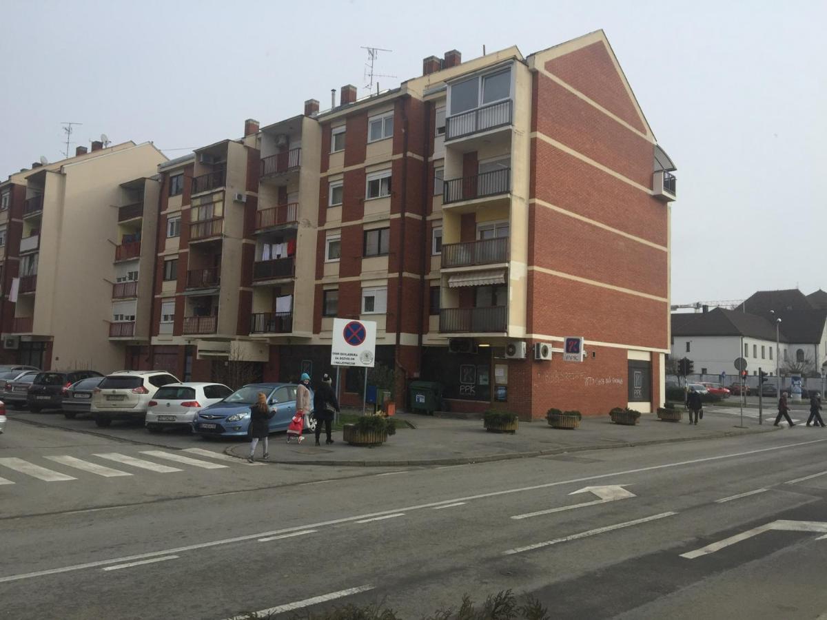 Studio Apatrman Pijalovic Bjelovar Ngoại thất bức ảnh